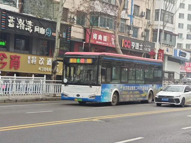 800BUS