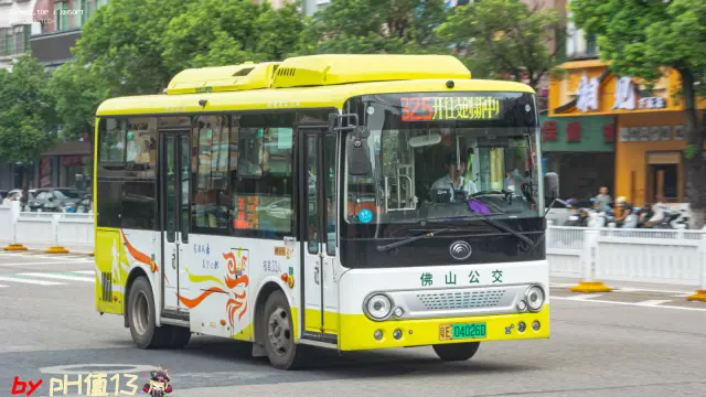 800BUS