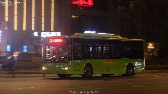 800BUS