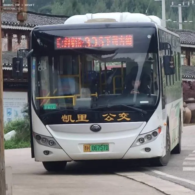 800BUS
