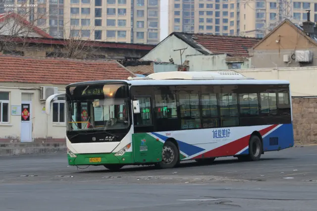 800BUS