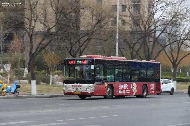 800BUS