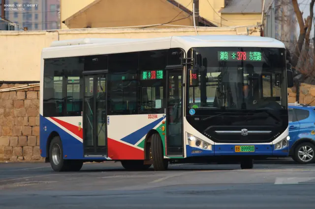 800BUS