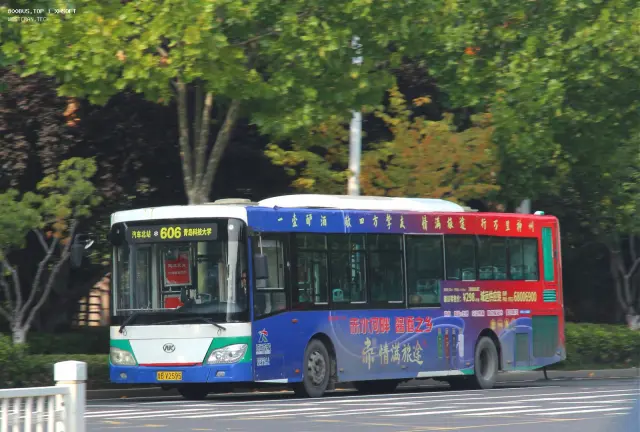 800BUS