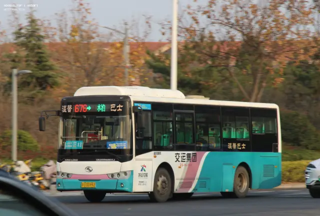 800BUS