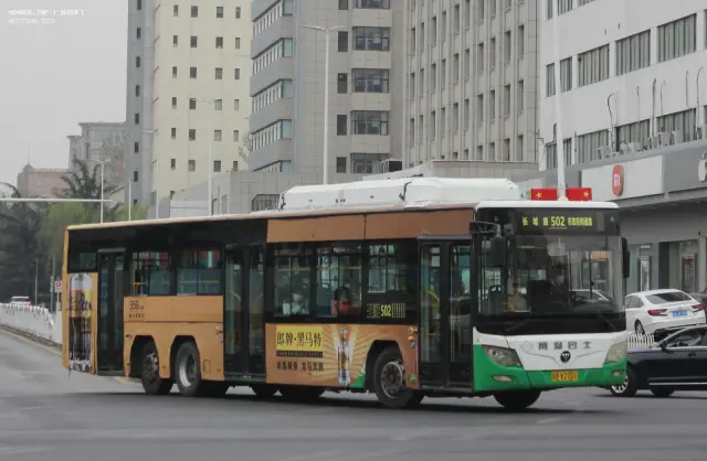 800BUS