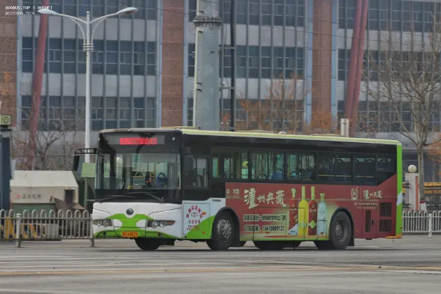 800BUS