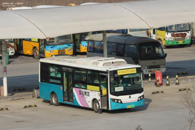800BUS