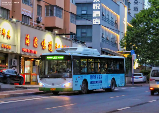 800BUS