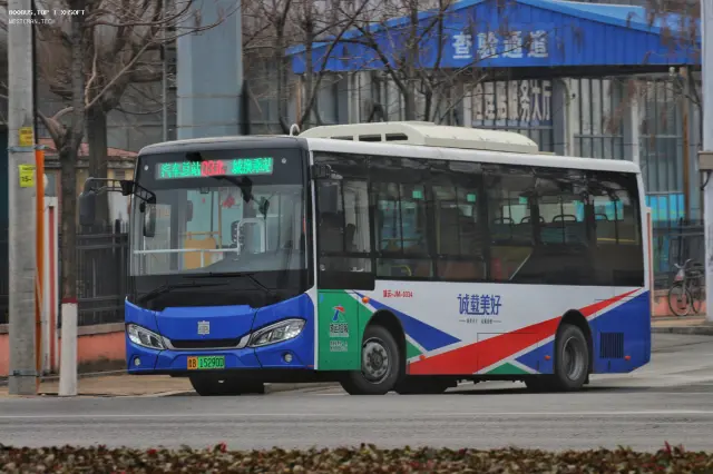 800BUS