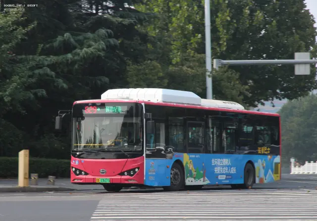 800BUS