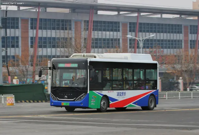 800BUS