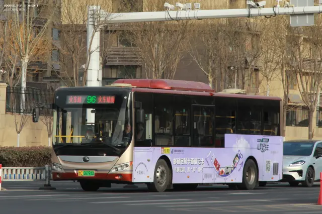 800BUS