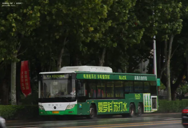 800BUS