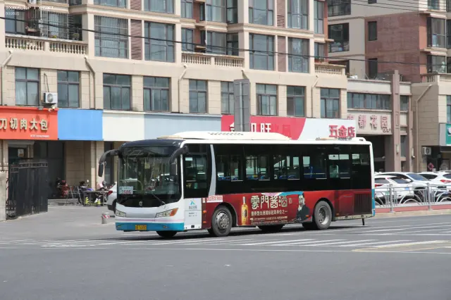 800BUS