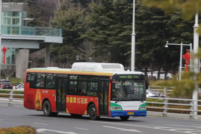 800BUS