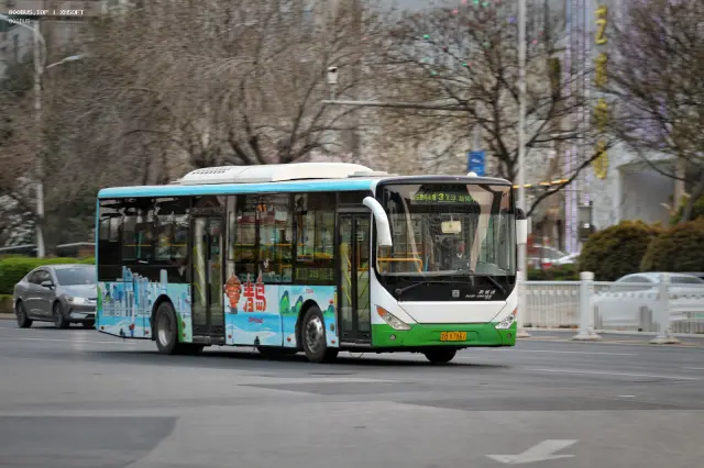 800BUS
