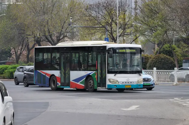 800BUS