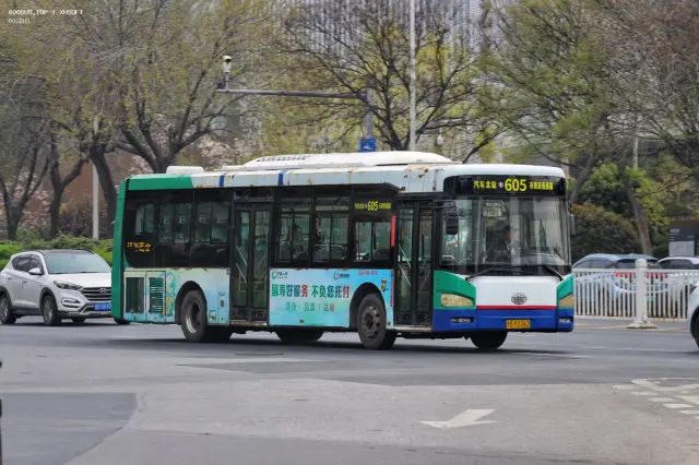 800BUS