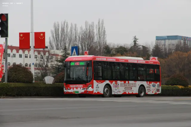 800BUS