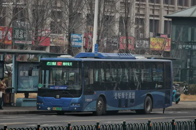 800BUS