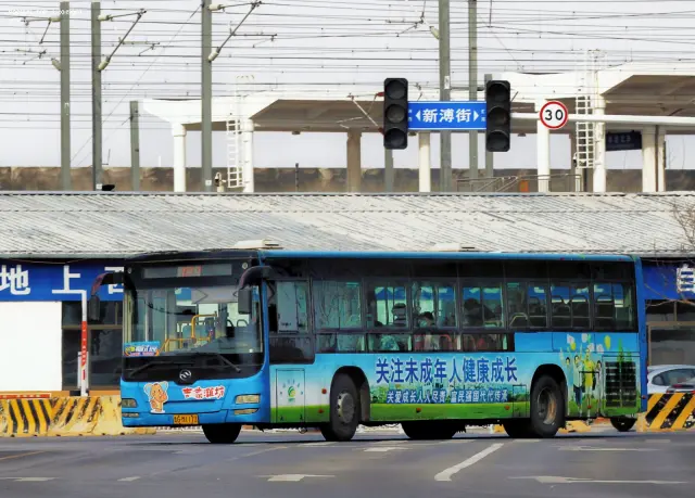 800BUS
