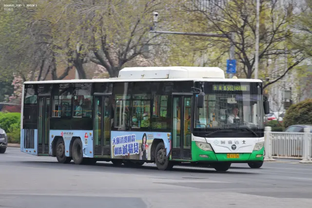 800BUS