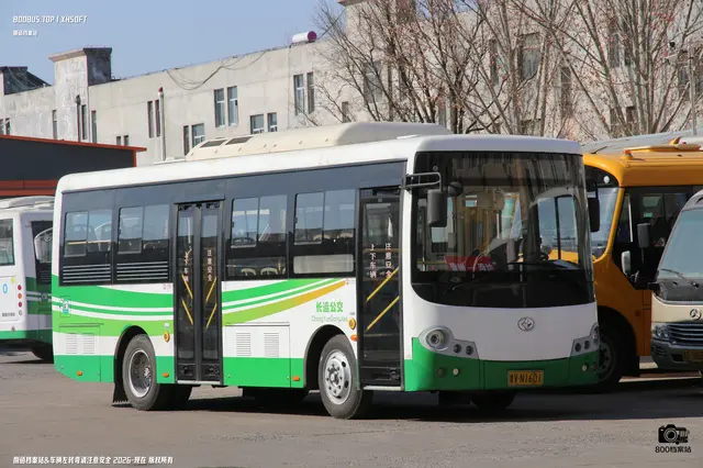 800BUS