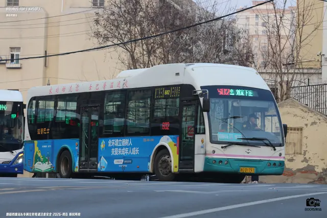 800BUS