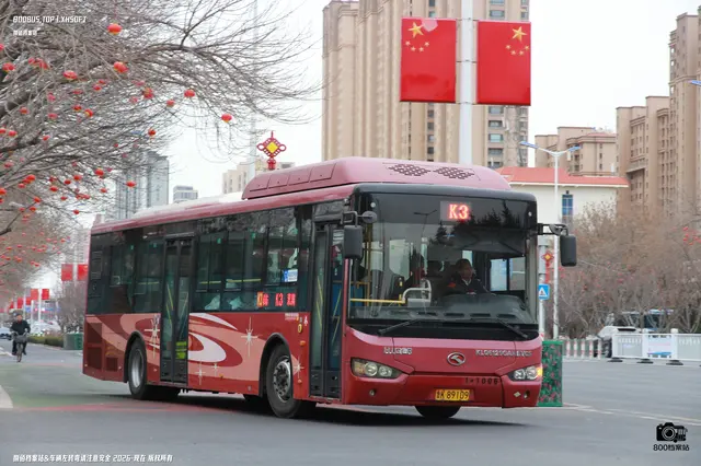 800BUS