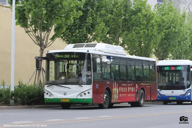 800BUS