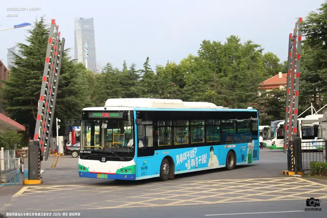 800BUS