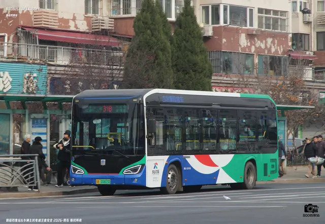 800BUS