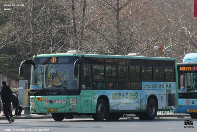 800BUS