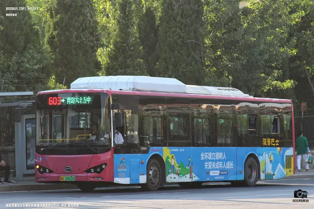 800BUS