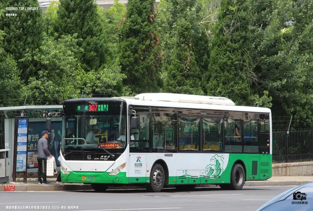 800BUS