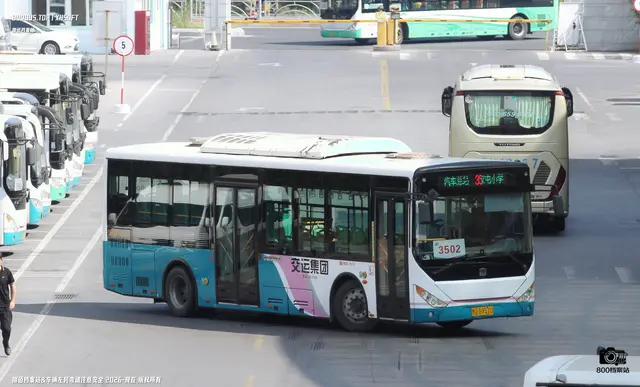 800BUS