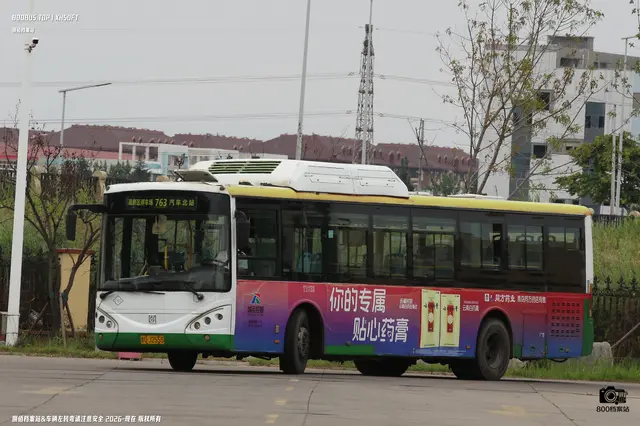 800BUS