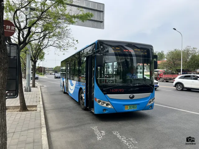 800BUS