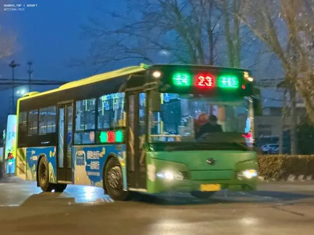 800BUS