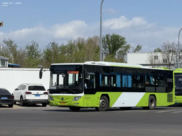 800BUS