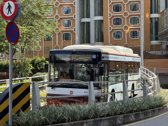 800BUS