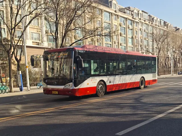 京A W0619