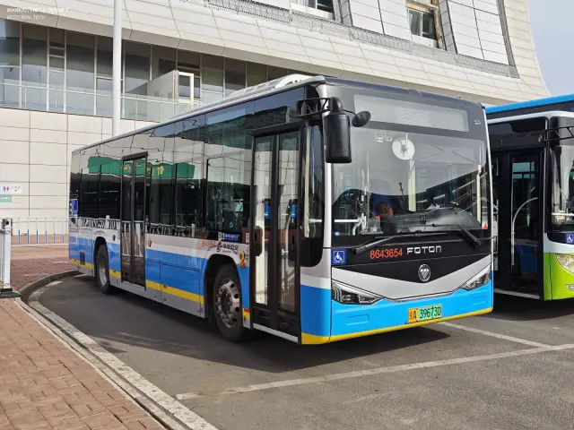 800BUS