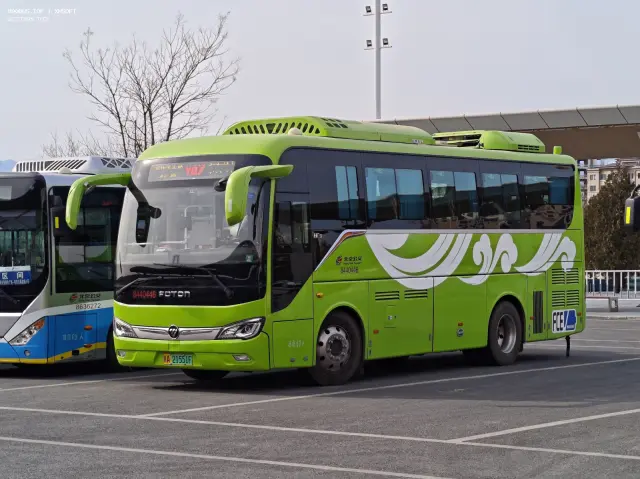 800BUS