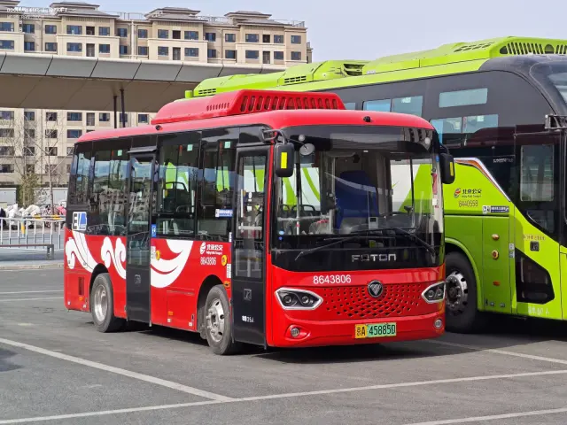800BUS