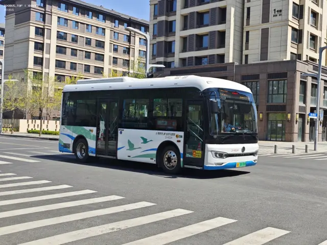 800BUS