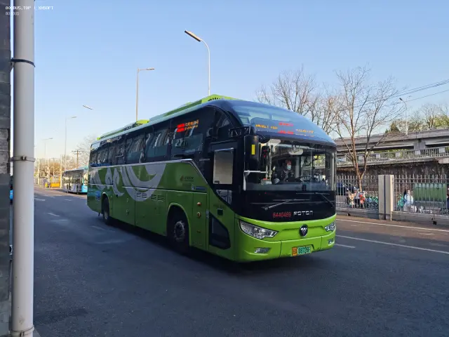 800BUS