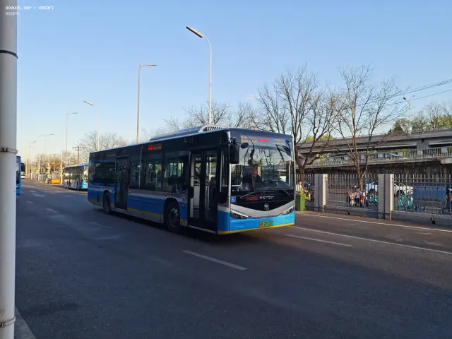 800BUS