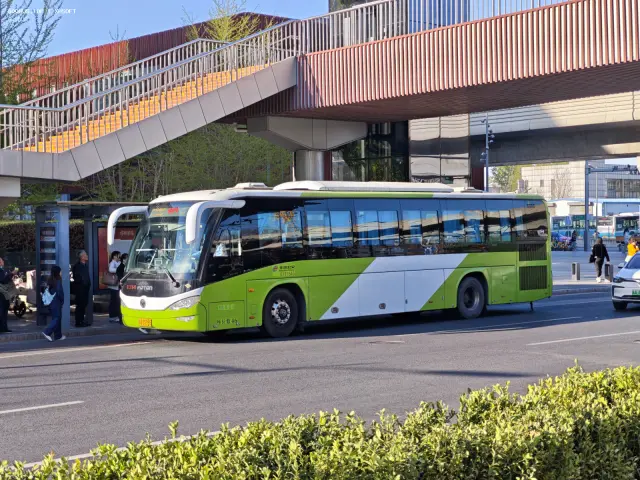 800BUS